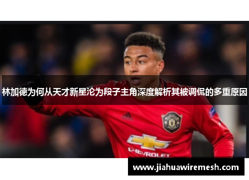 林加德为何从天才新星沦为段子主角深度解析其被调侃的多重原因